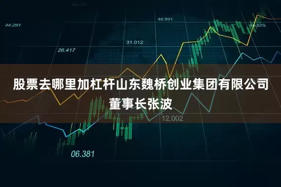 股票去哪里加杠杆山东魏桥创业集团有限公司董事长张波