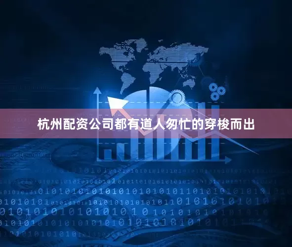 杭州配资公司都有道人匆忙的穿梭而出