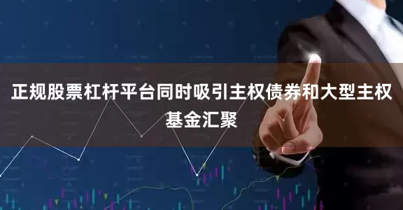 正规股票杠杆平台同时吸引主权债券和大型主权基金汇聚