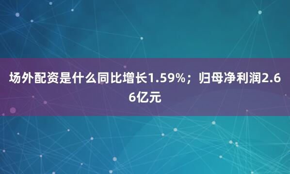 场外配资是什么同比增长1.59%；归母净利润2.66亿元