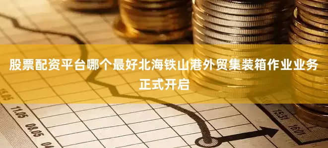 股票配资平台哪个最好北海铁山港外贸集装箱作业业务正式开启